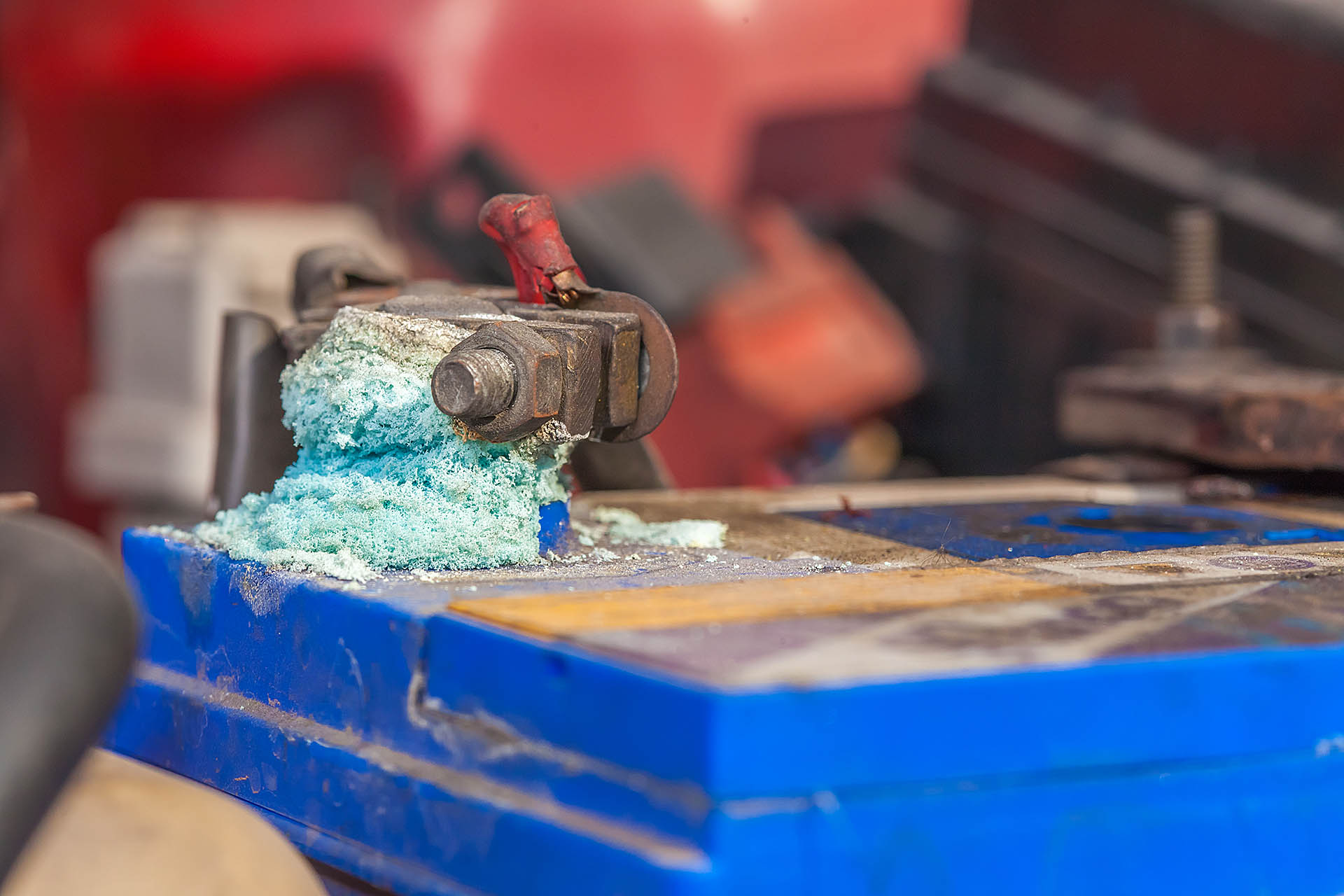 resultado de imagem zinabre